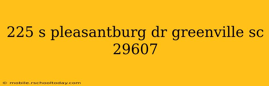 225 s pleasantburg dr greenville sc 29607