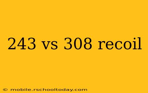 243 vs 308 recoil