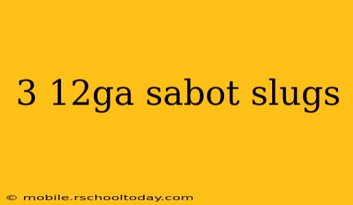 3 12ga sabot slugs