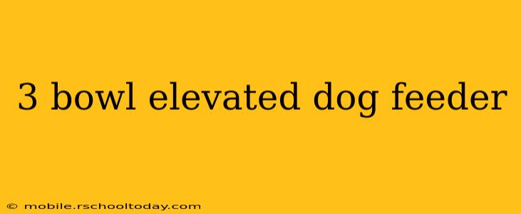 3 bowl elevated dog feeder