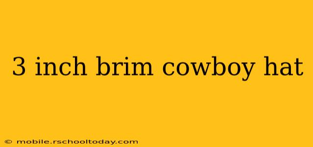 3 inch brim cowboy hat