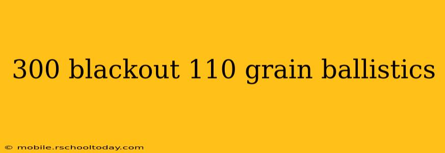 300 blackout 110 grain ballistics