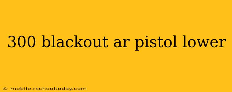 300 blackout ar pistol lower