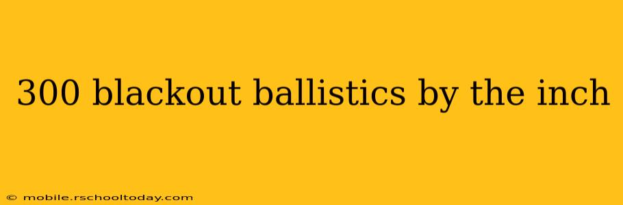 300 blackout ballistics by the inch