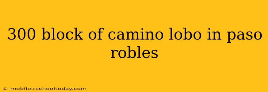 300 block of camino lobo in paso robles