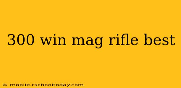 300 win mag rifle best