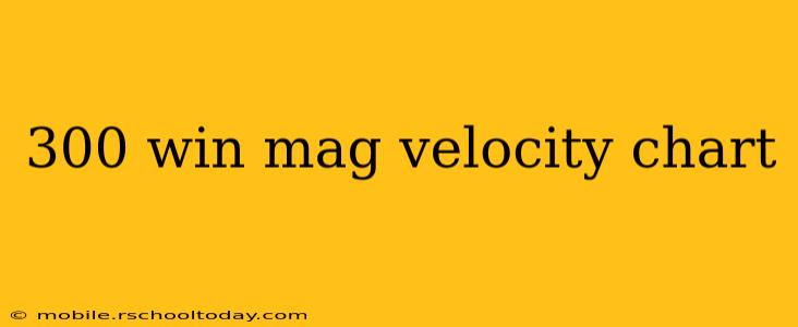 300 win mag velocity chart