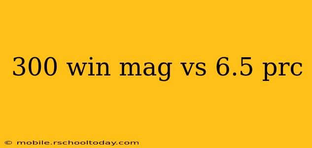 300 win mag vs 6.5 prc