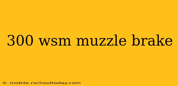 300 wsm muzzle brake