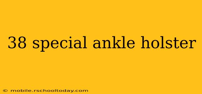 38 special ankle holster