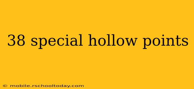 38 special hollow points