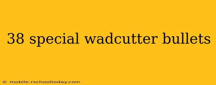 38 special wadcutter bullets