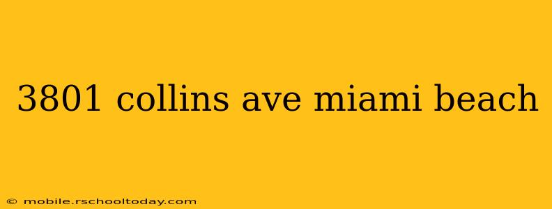 3801 collins ave miami beach