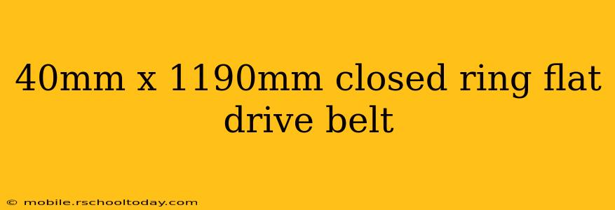 40mm x 1190mm closed ring flat drive belt