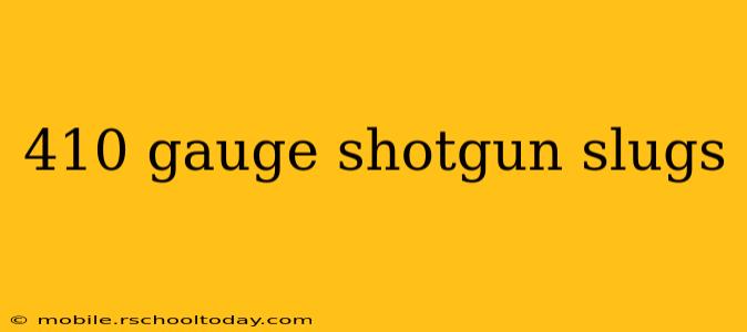 410 gauge shotgun slugs