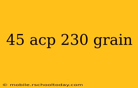 45 acp 230 grain