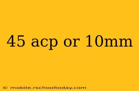 45 acp or 10mm