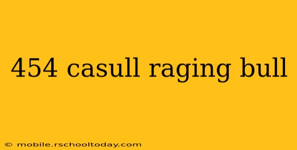 454 casull raging bull