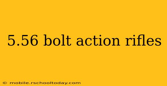 5.56 bolt action rifles