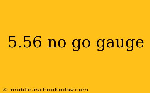 5.56 no go gauge