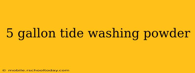 5 gallon tide washing powder