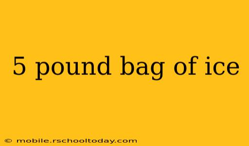 5 pound bag of ice