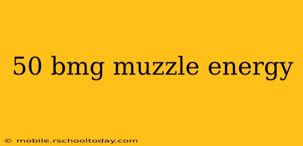50 bmg muzzle energy