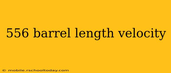 556 barrel length velocity