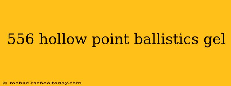 556 hollow point ballistics gel