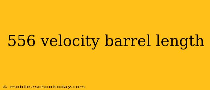 556 velocity barrel length