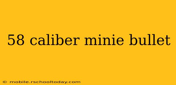 58 caliber minie bullet