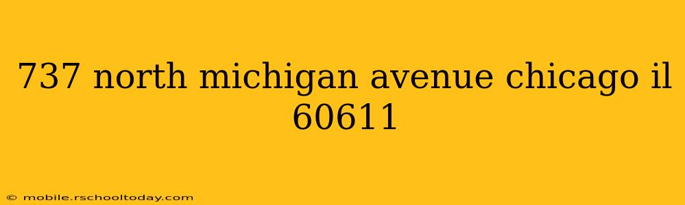 737 north michigan avenue chicago il 60611