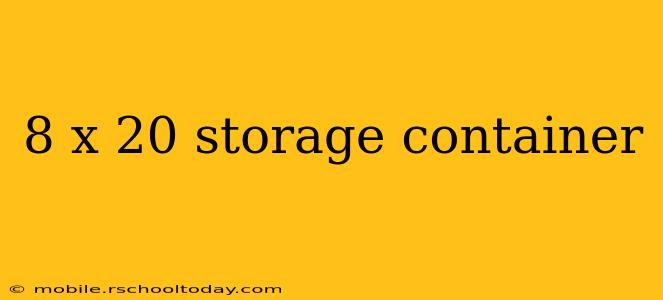 8 x 20 storage container