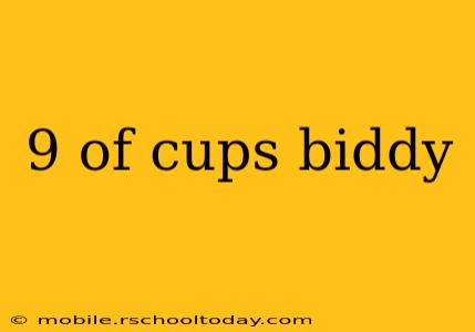 9 of cups biddy