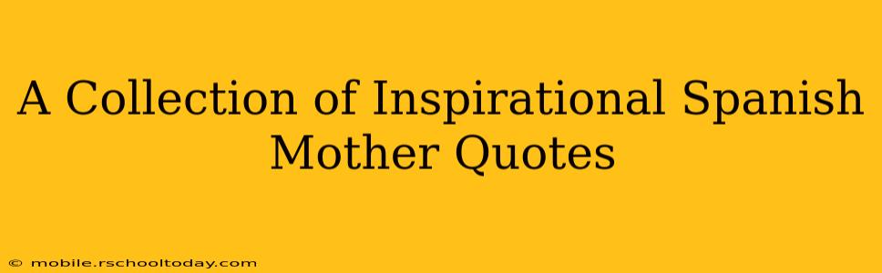 A Collection of Inspirational Spanish Mother Quotes