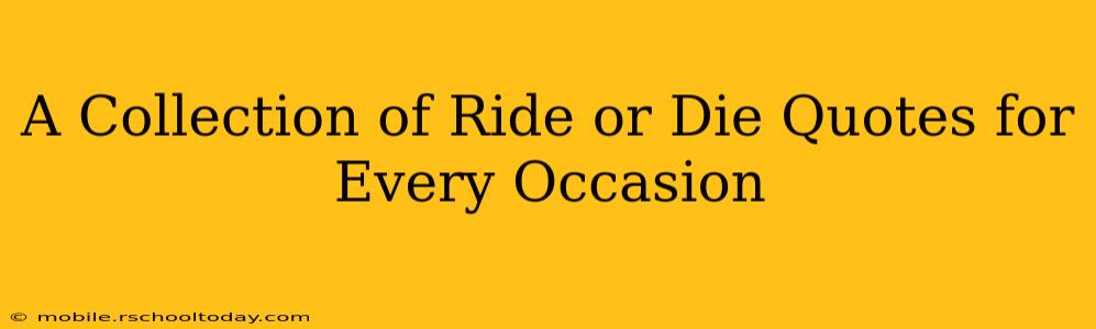 A Collection of Ride or Die Quotes for Every Occasion