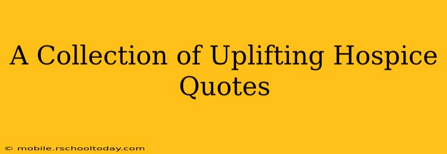 A Collection of Uplifting Hospice Quotes