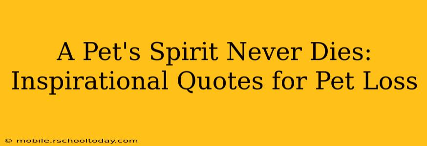 A Pet's Spirit Never Dies: Inspirational Quotes for Pet Loss