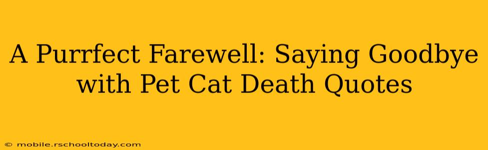 A Purrfect Farewell: Saying Goodbye with Pet Cat Death Quotes