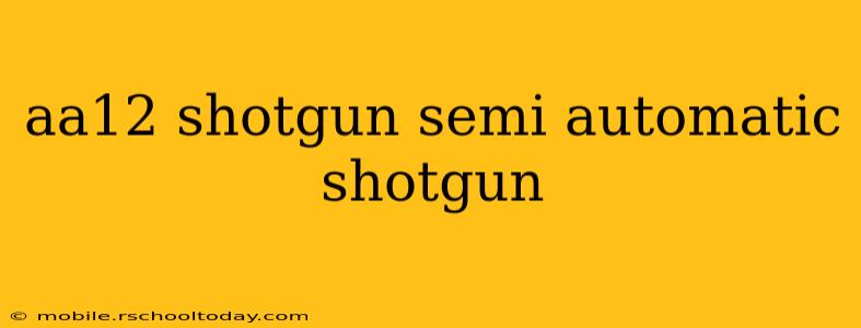 aa12 shotgun semi automatic shotgun