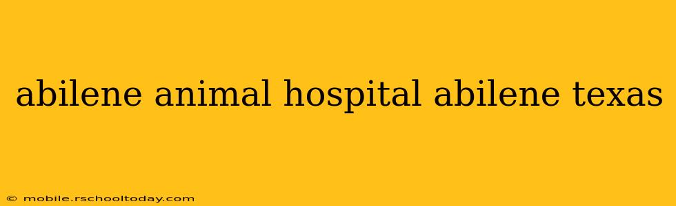 abilene animal hospital abilene texas