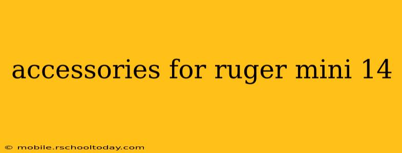 accessories for ruger mini 14
