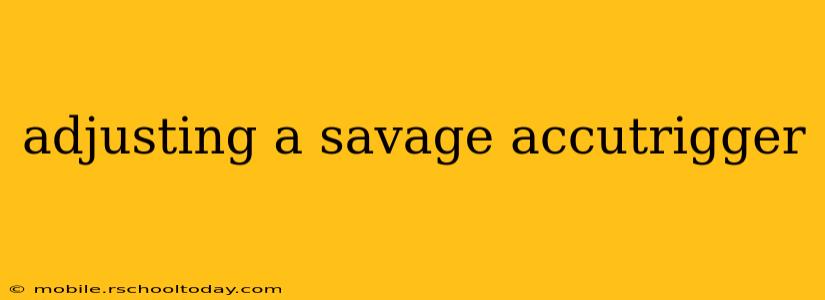 adjusting a savage accutrigger
