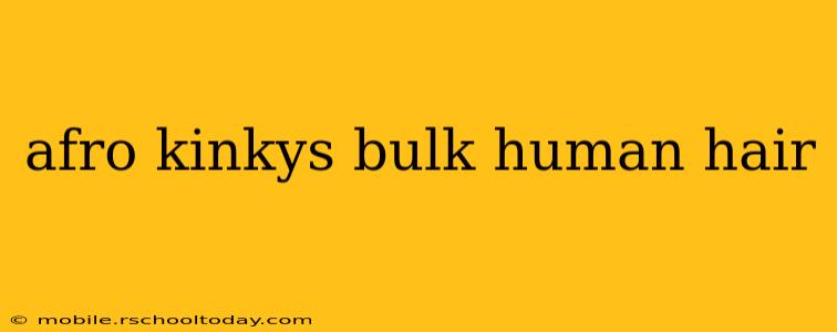 afro kinkys bulk human hair