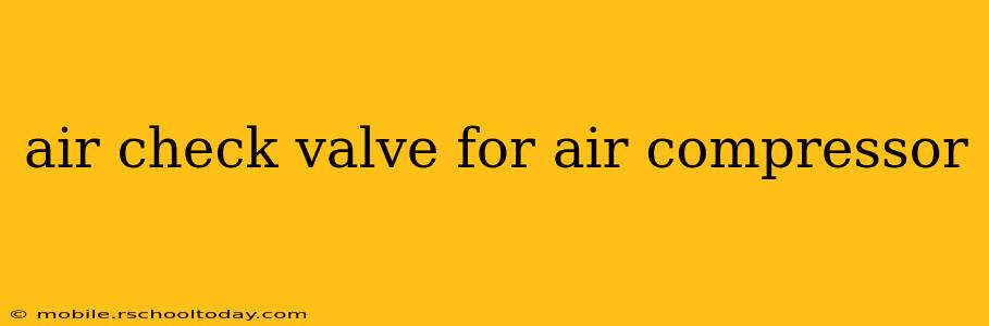 air check valve for air compressor