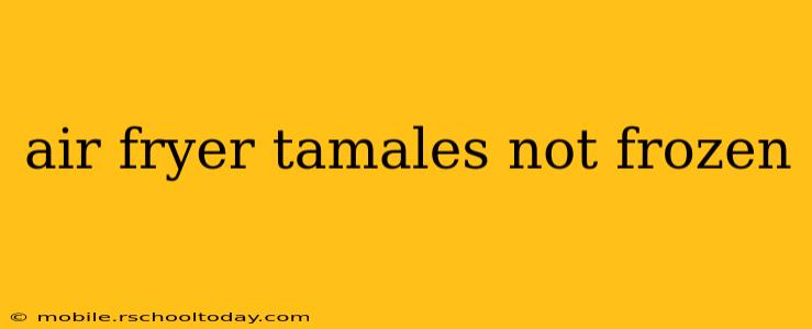 air fryer tamales not frozen
