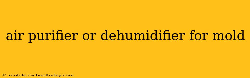 air purifier or dehumidifier for mold