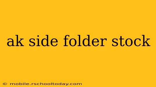 ak side folder stock