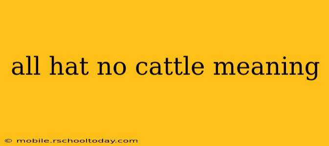 all hat no cattle meaning