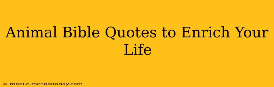 Animal Bible Quotes to Enrich Your Life